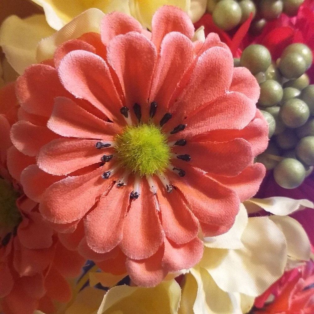 Meet your Posher, Mimi's